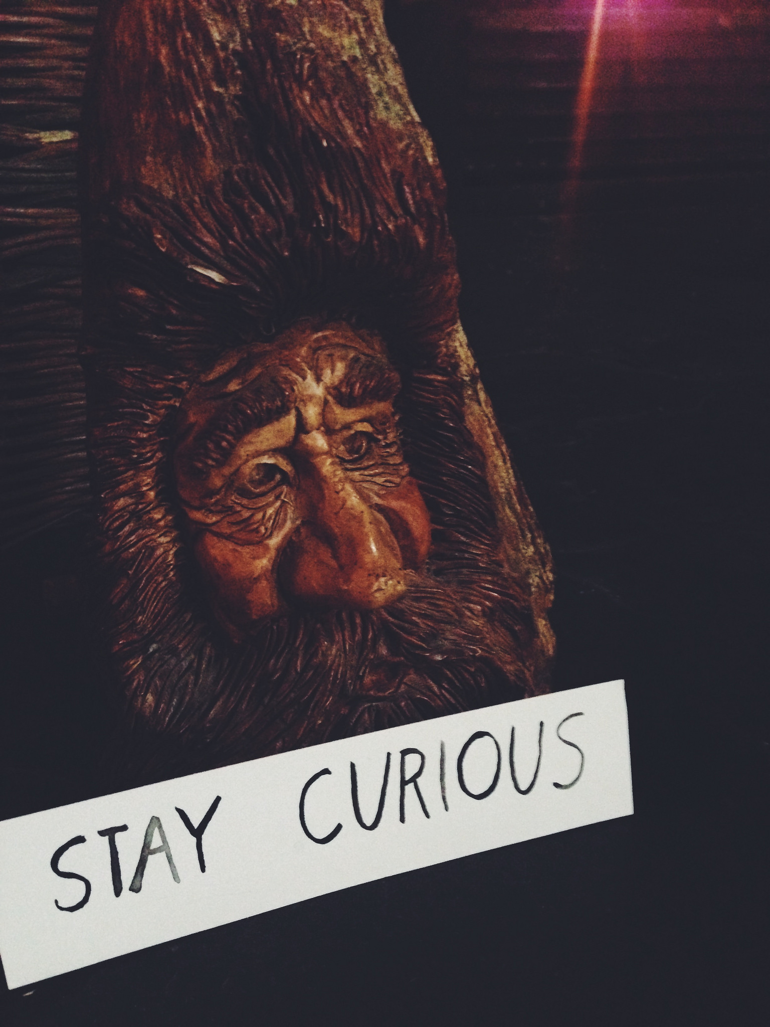 Truly North Retreat// Stay Curious