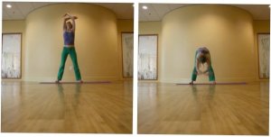 Kelly Connor Sunrose Yoga// Online Yoga Classes// Sunflowers