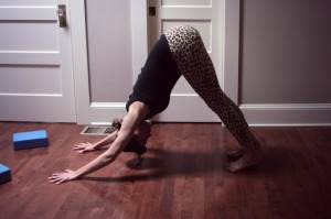 Downward dog// Online Yoga Class with Kelly Sunrose