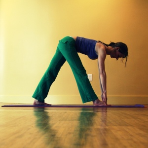 Online Yoga Class// Kelly Connor Sunrose Yoga// parsvottanasana// Extreme Stretch// hatha yoga