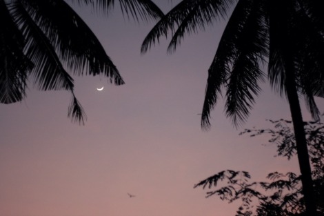 Crescent Moon on Lombok, Indonesia